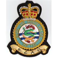 RAF Police Kai Tak Wire Blazer Badge